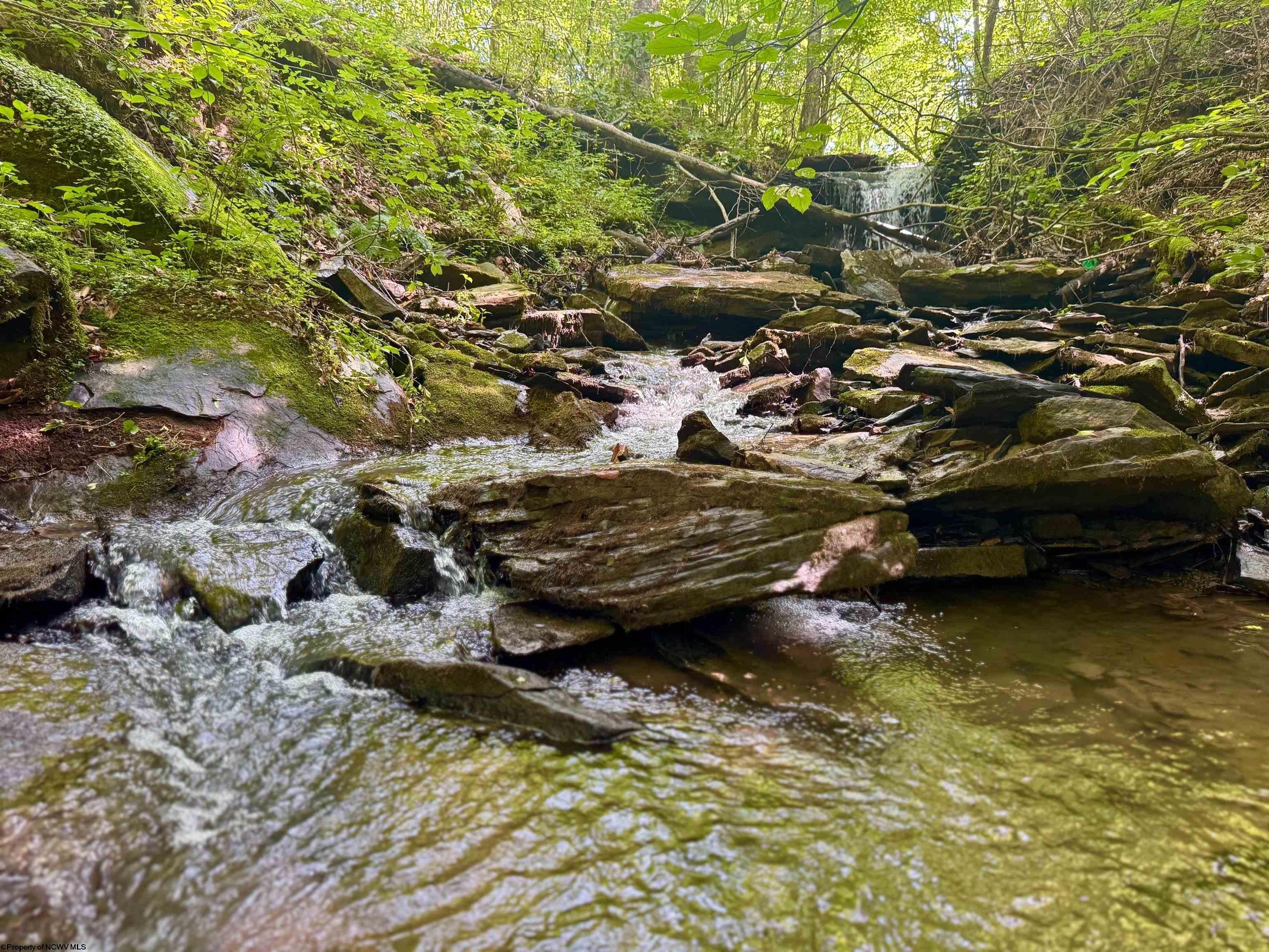1 John Orr Road Independence, WV 26374 - Photo 28 of 50 Gallery Image 28