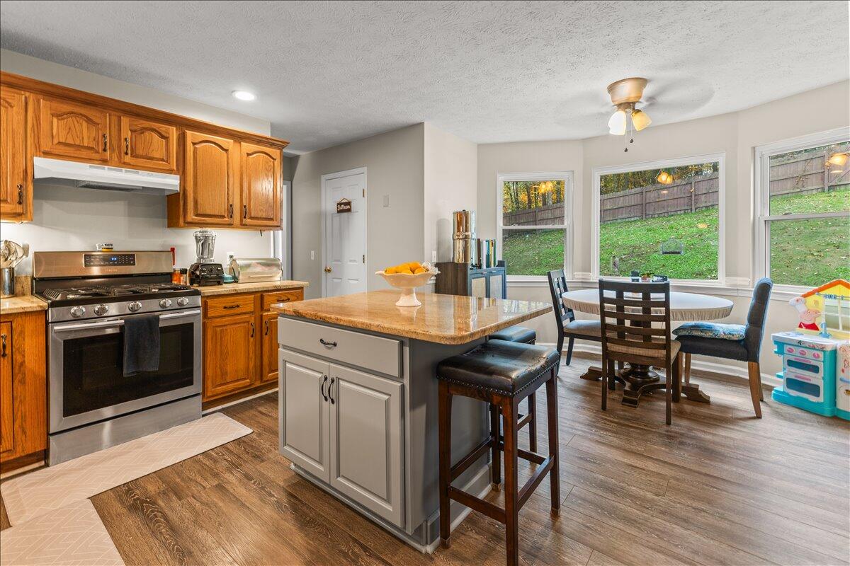 43 Spring Lane Ringgold, GA 30736 - Photo 11 of 37 19-IMG_4862