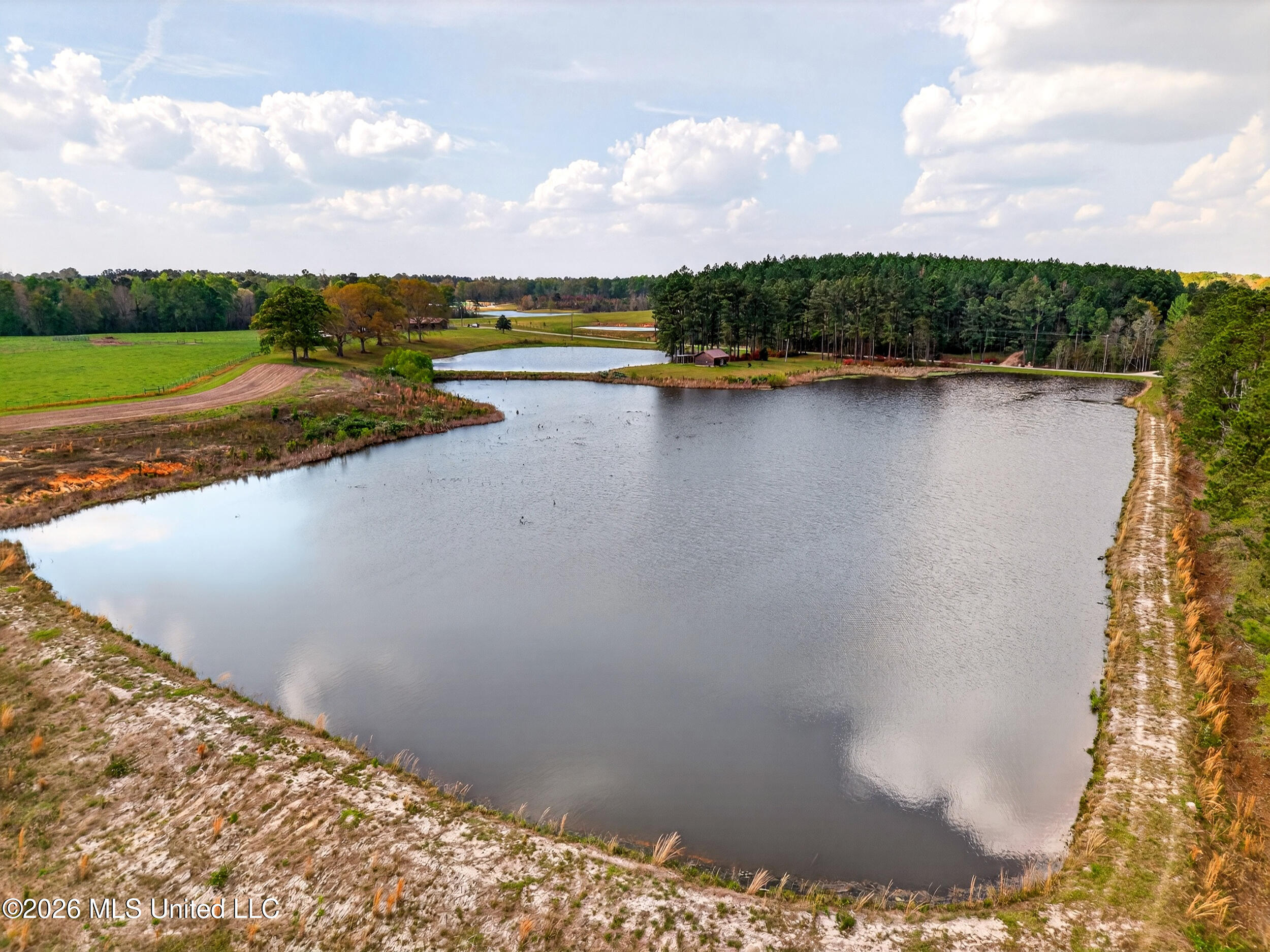 554 Homer Ladner Road Poplarville, MS 39470 - Photo 55 of 68 55_rear of property pond