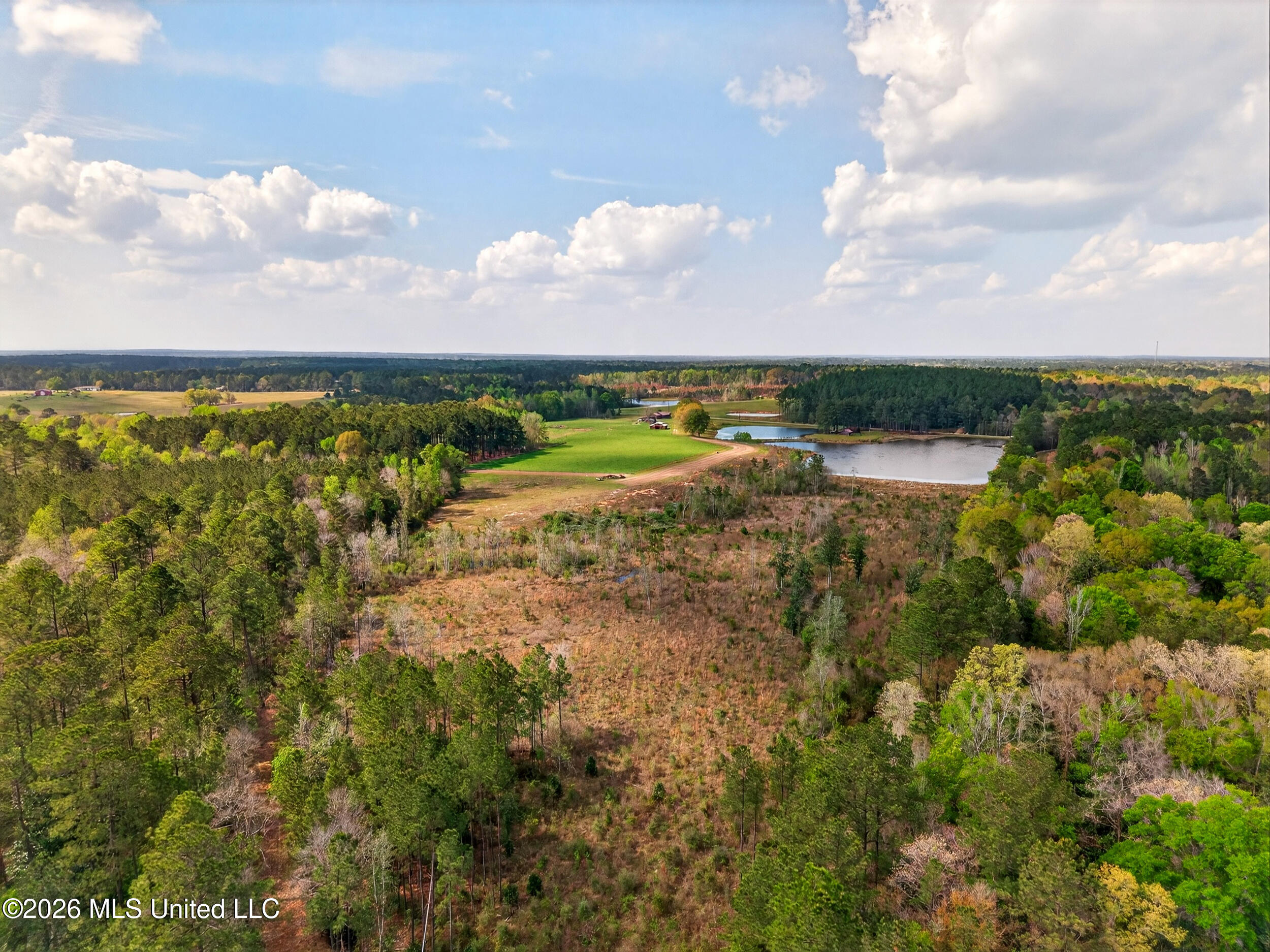 554 Homer Ladner Road Poplarville, MS 39470 - Photo 56 of 68 56_rear of clearing
