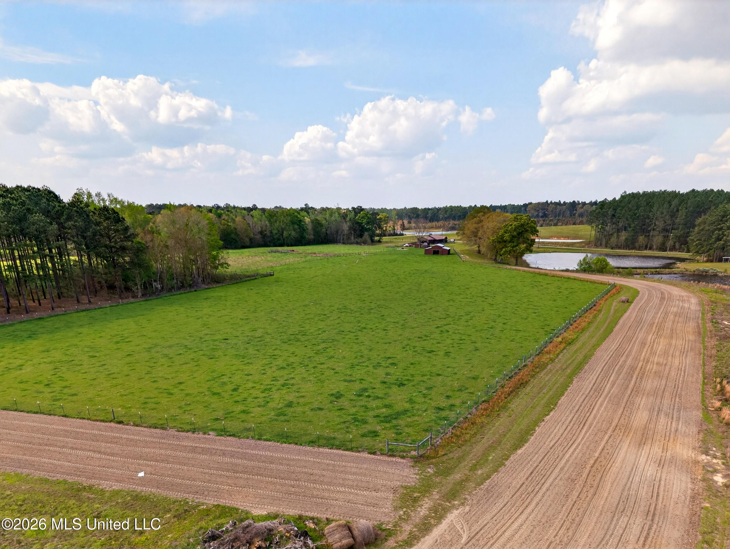 554 Homer Ladner Road Poplarville, MS 39470 - Photo 57 of 68 57_rear pasture 1