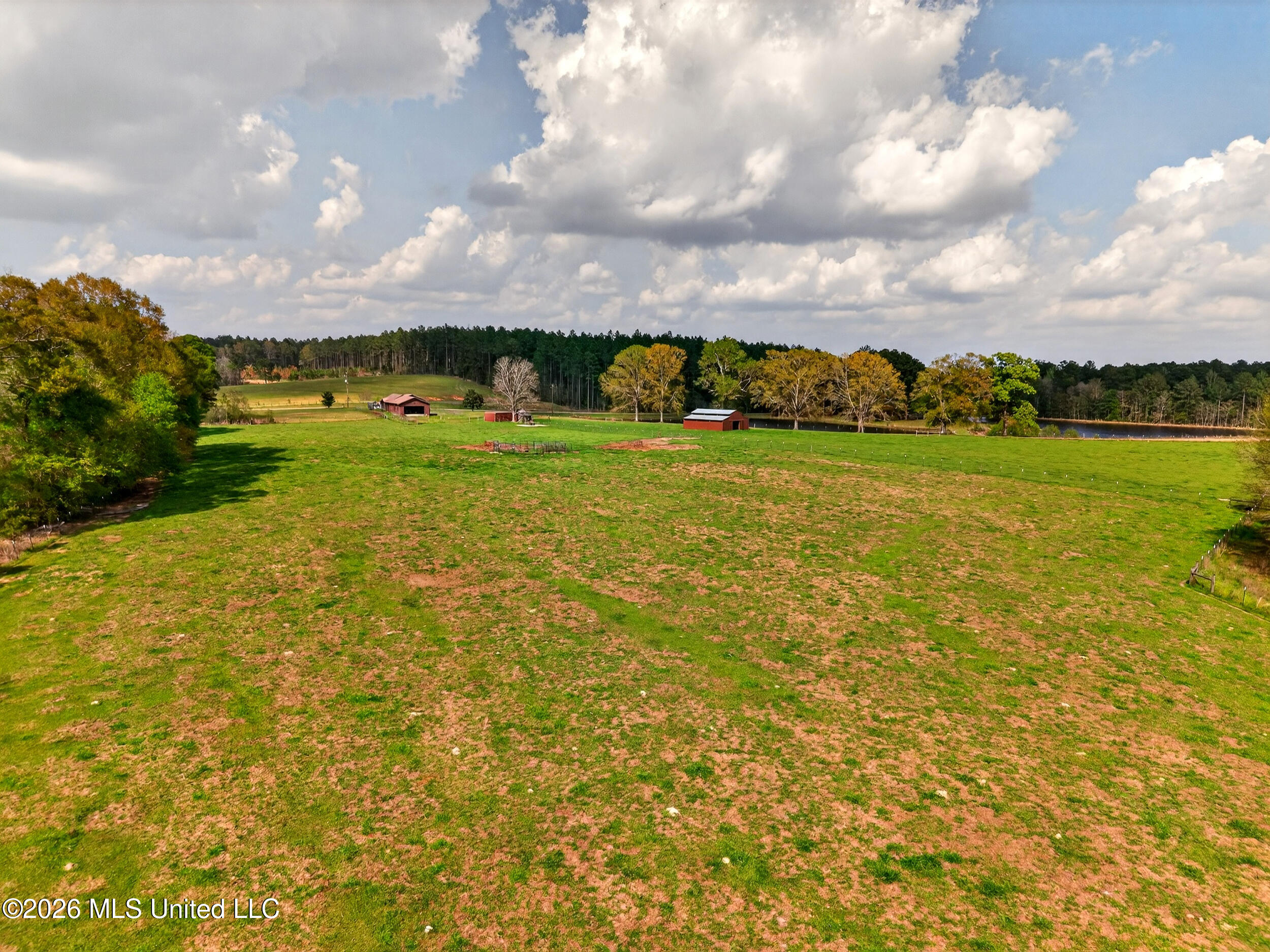 554 Homer Ladner Road Poplarville, MS 39470 - Photo 58 of 68 58_rear pasture 2