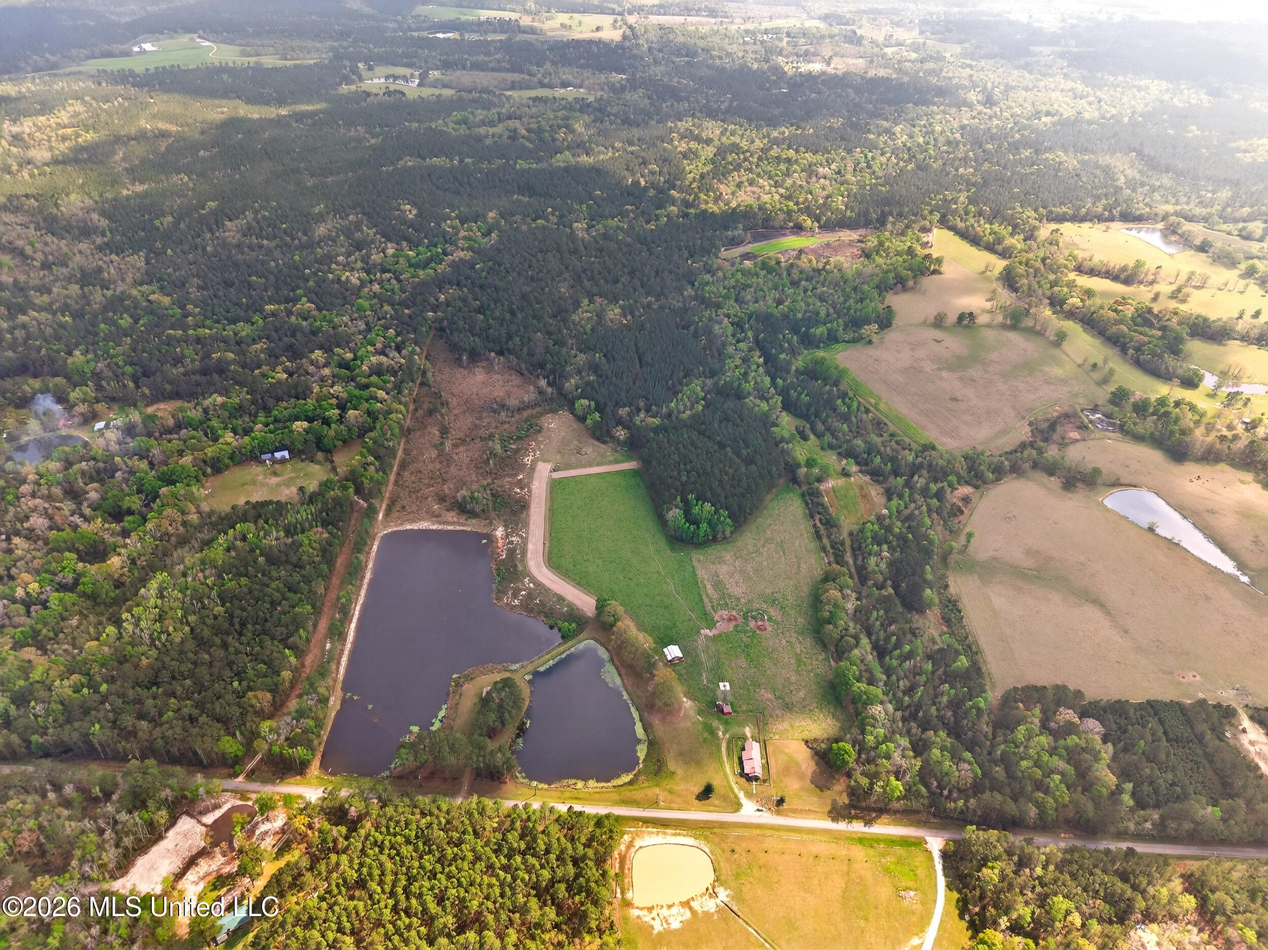 554 Homer Ladner Road Poplarville, MS 39470 - Photo 59 of 68 59_aerial property 1