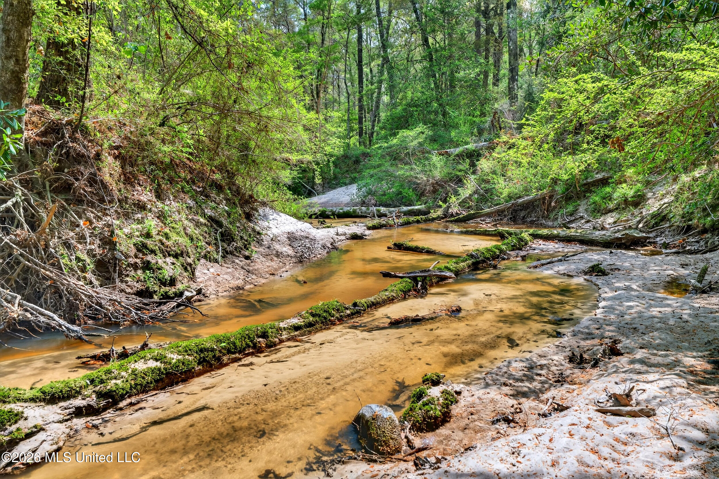 554 Homer Ladner Road Poplarville, MS 39470 - Photo 64 of 68 64_creek 1