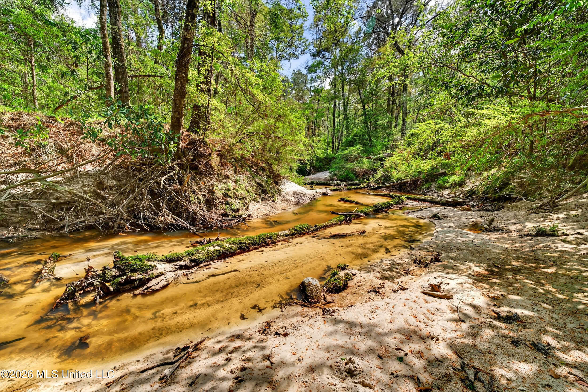 554 Homer Ladner Road Poplarville, MS 39470 - Photo 65 of 68 65_creek 2