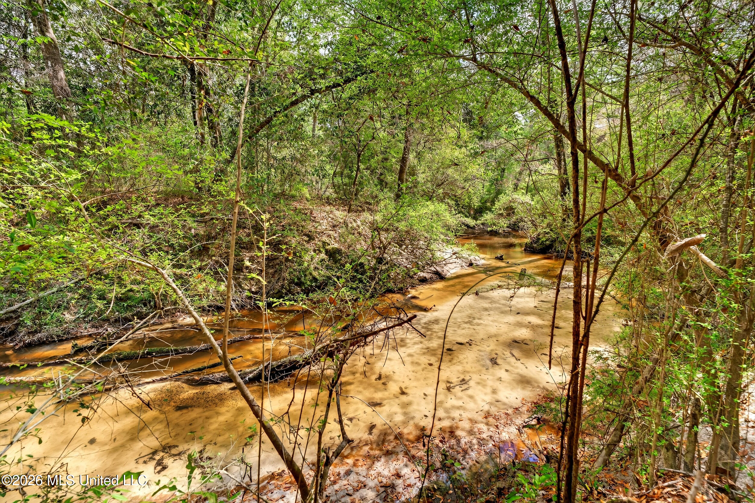 554 Homer Ladner Road Poplarville, MS 39470 - Photo 66 of 68 66_creek 3