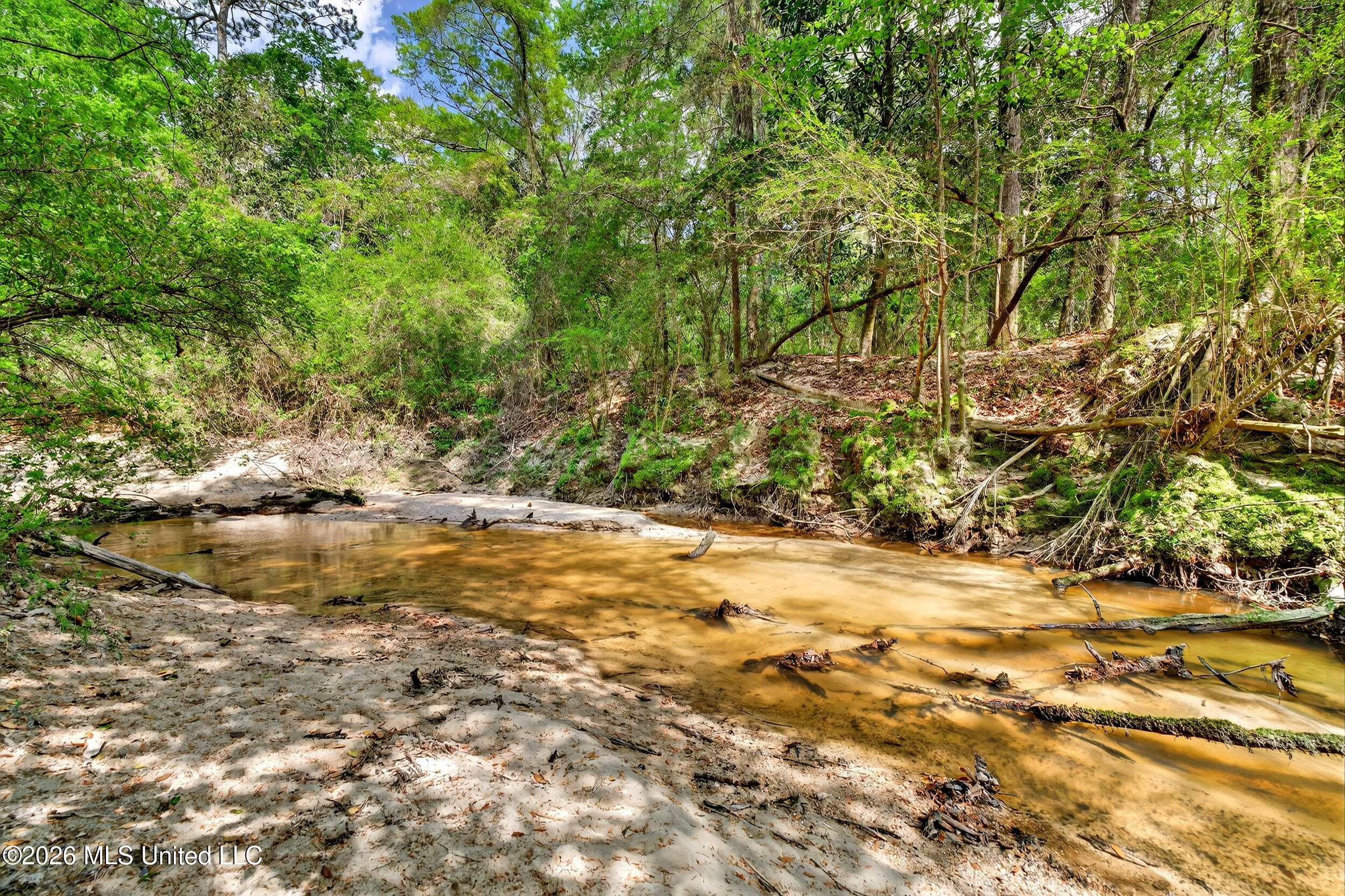 554 Homer Ladner Road Poplarville, MS 39470 - Photo 67 of 68 67_creek 4