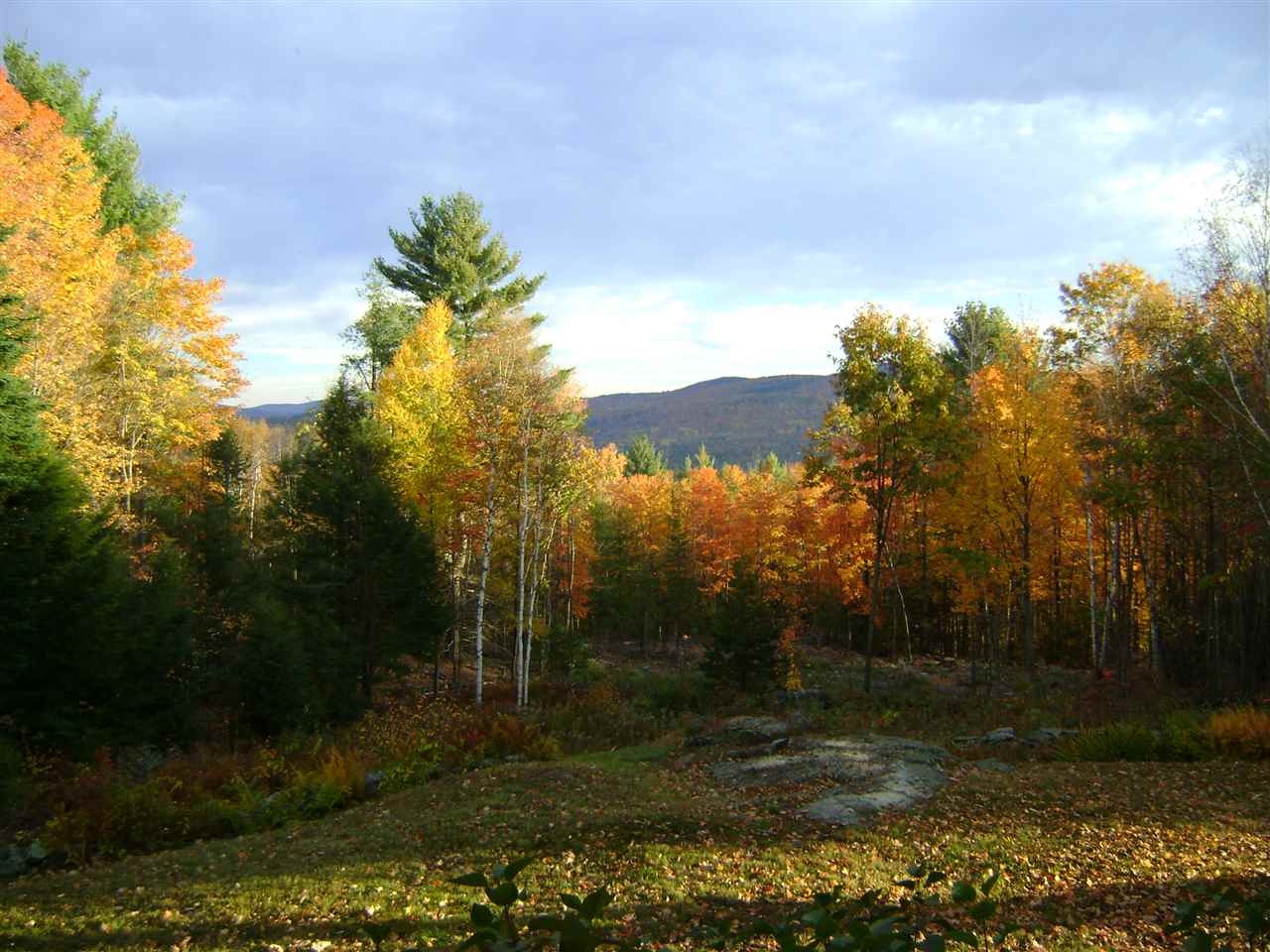286 Blueberry Ridge Road Newport, NH 03773 - Photo 6 of 38