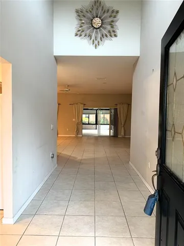 a view of a yard with plants and large trees