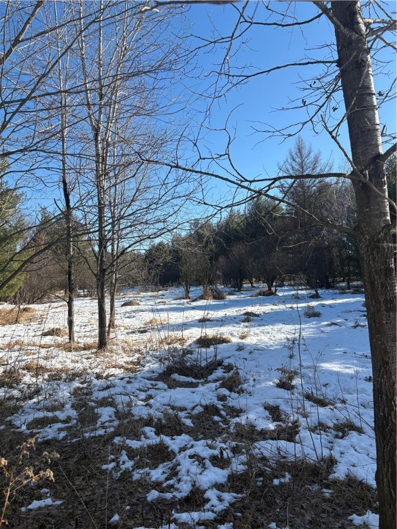 10470 Walkers Road Humbird, WI 54746 - Photo 1 of 1