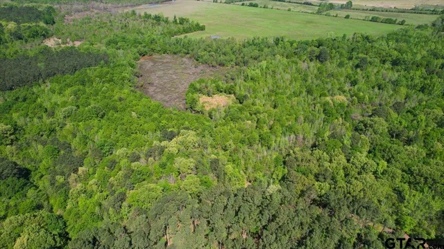 $105,000 | 1143 Daingerfield Tx 75638, Daingerfield, TX 75638