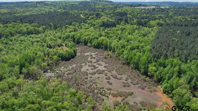 a view of a pathway both side of yard