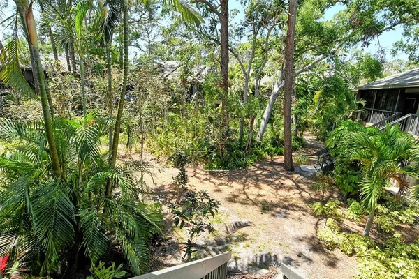 a view of a swimming pool with a lawn chairs