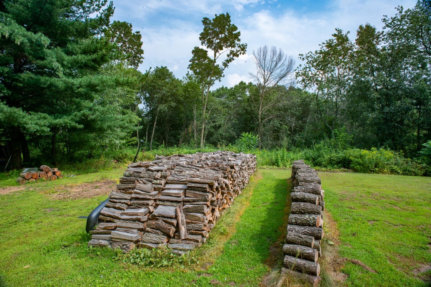 N5914 15th Avenue Wild Rose, WI 54984 - Photo 38 of 61