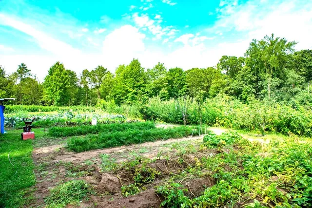 $325,000 | N5914 15th Avenue, Wild Rose, WI 54984