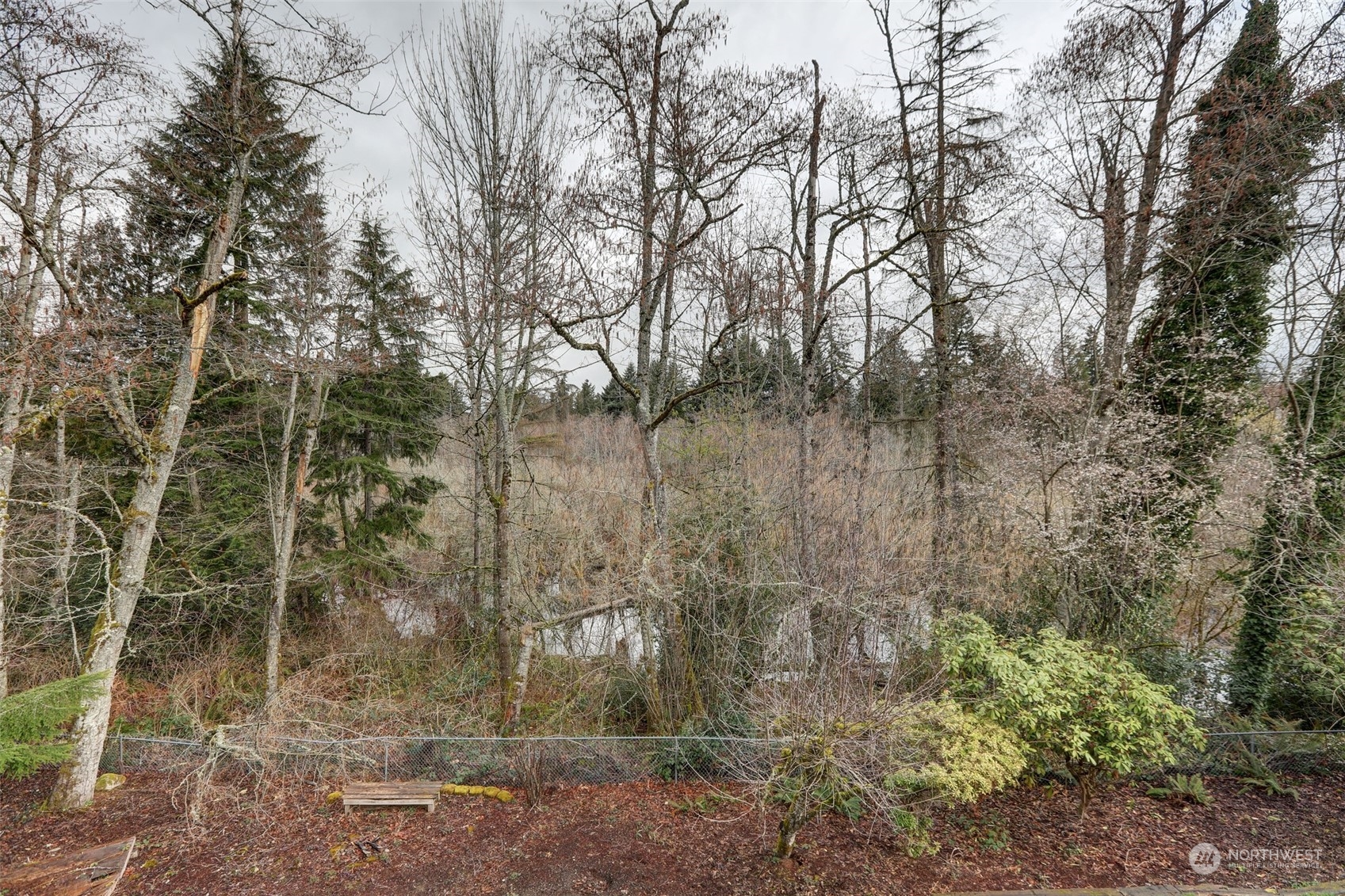 12404 Southeast 227th Street Kent, WA 98031 - Photo 20 of 21 a view of a forest filled with trees