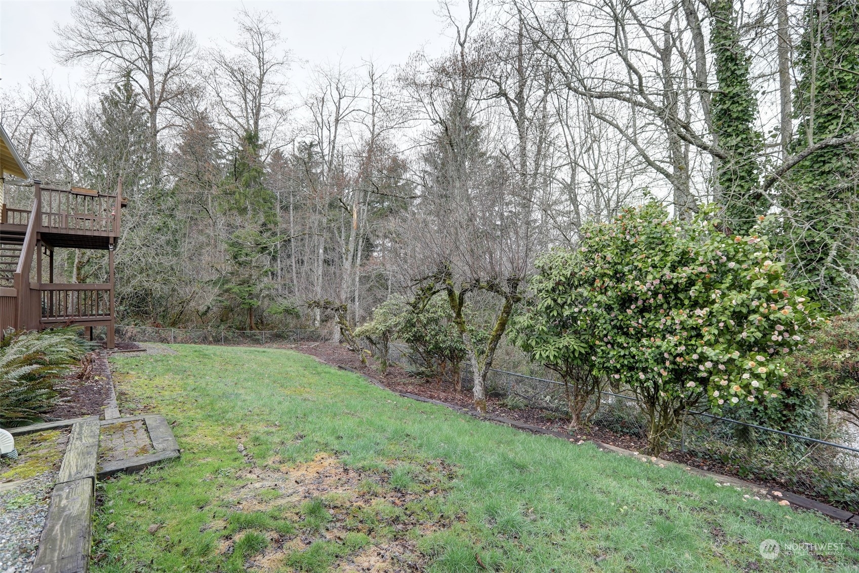 12404 Southeast 227th Street Kent, WA 98031 - Photo 21 of 21 a view of a backyard with large trees
