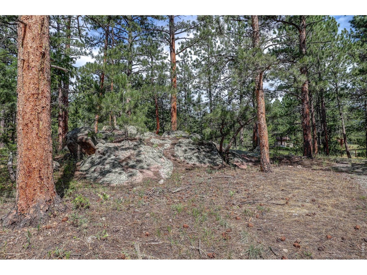 166 Cherokee Road Lyons, CO 80540 - Photo 41 of 43 Gallery Image 41