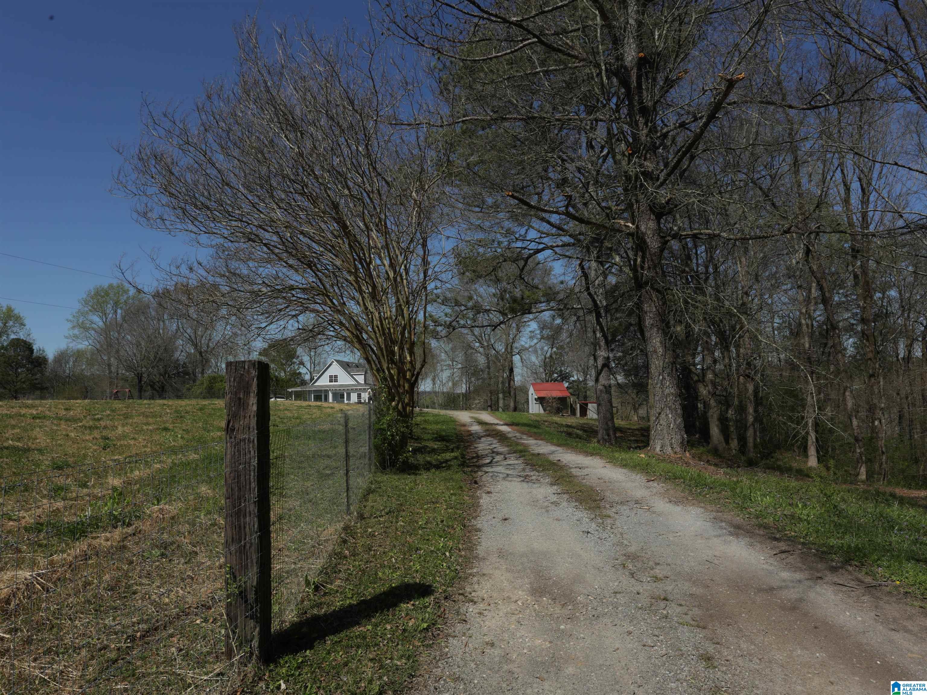 879 Timmerman Road Blountsville, AL 35031 - Photo 71 of 72