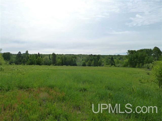 39502 Lower Worham Road Chassell, MI 49916 - Photo 6 of 11