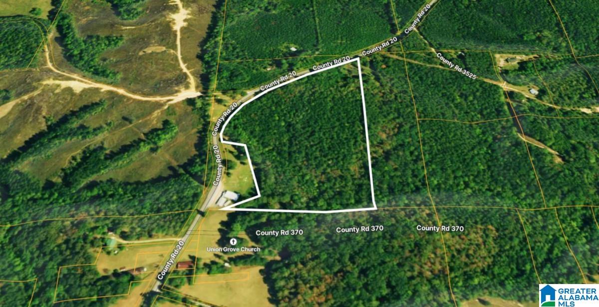 20 County Road Haleyville, AL 35565 - Photo 6 of 17