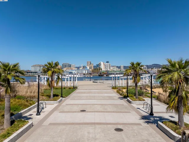a view of fountain along with palm trees