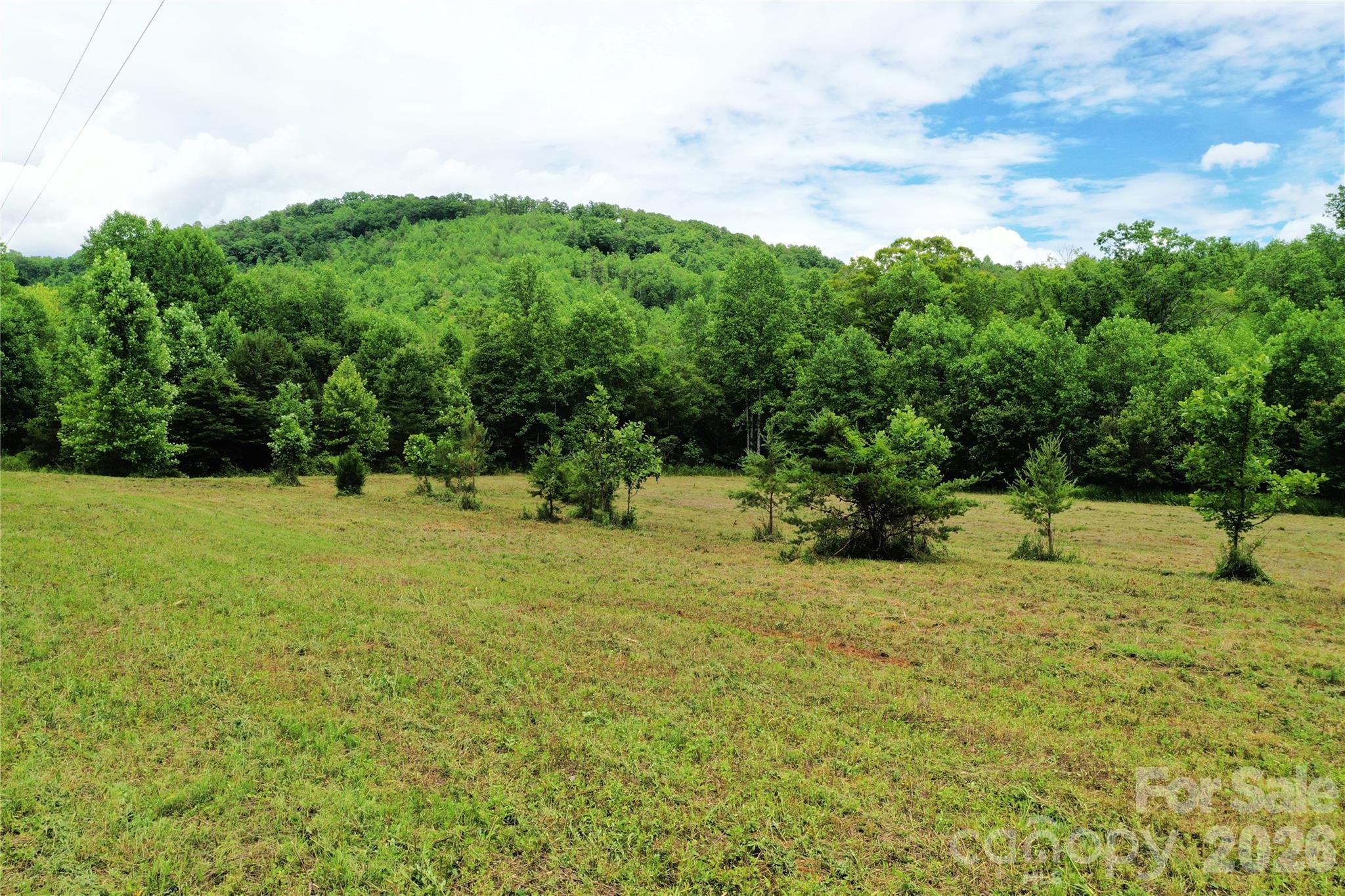 0 Club House Road Lake Lure, NC 28746 - Photo 5 of 20 a backyard of a house with lots of green space