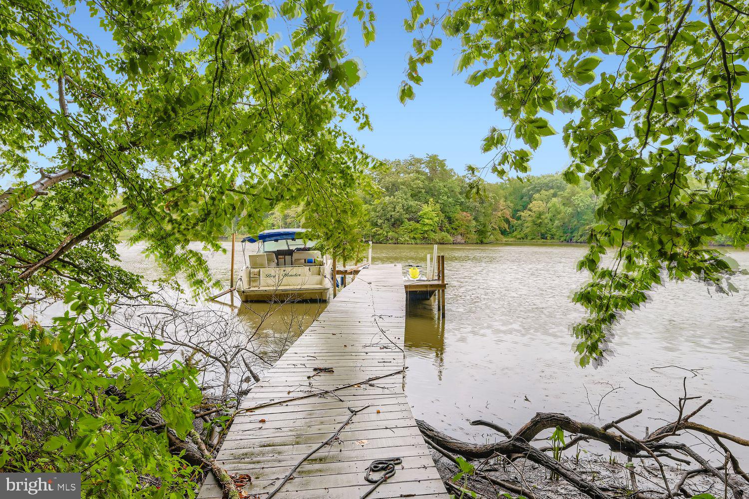 3203 Brezina Place Edgewater, MD 21037 - Photo 35 of 42 a view of a yard with plants