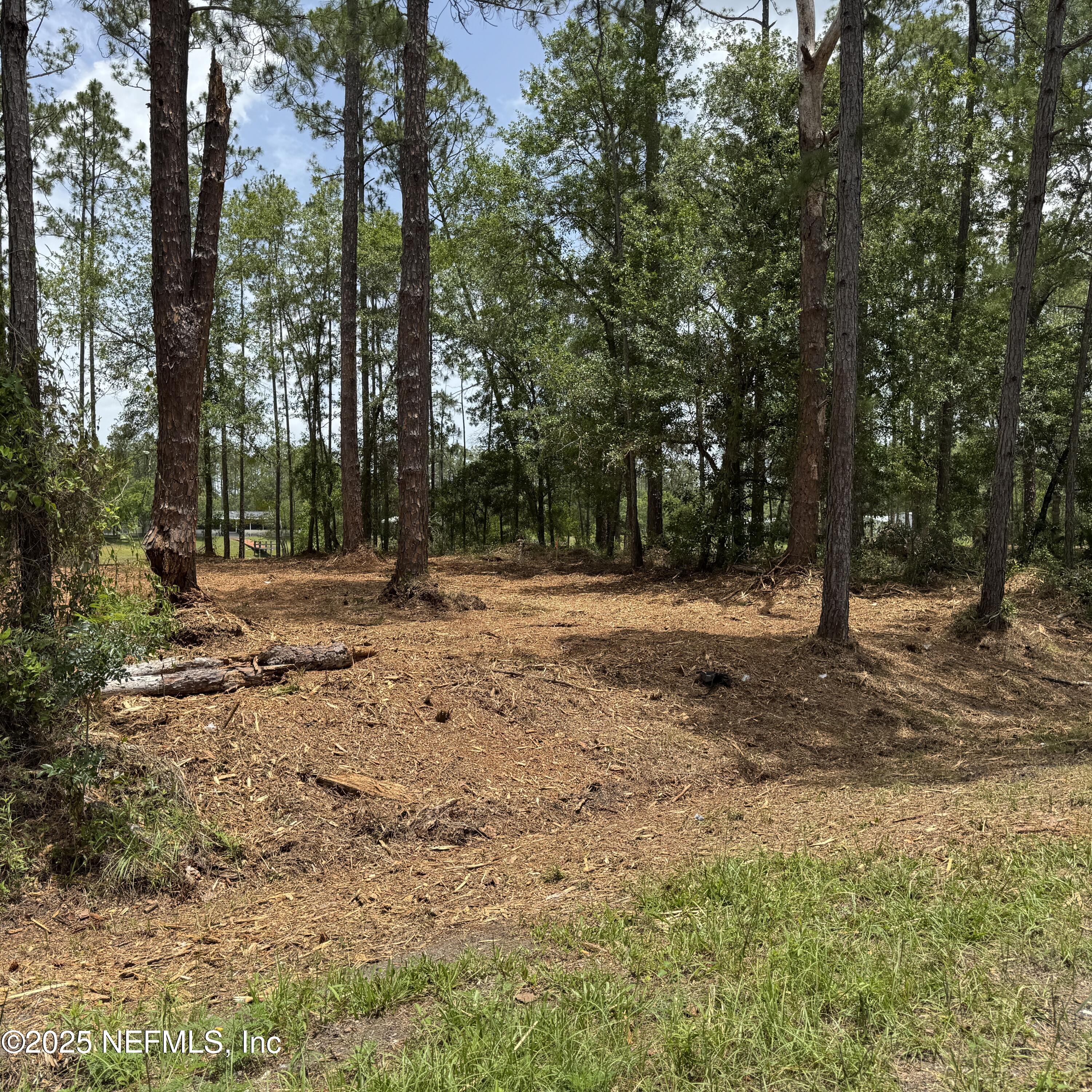 0 Wallace & Glen Interlachen, FL 32148 - Photo 2 of 7 a view of outdoor space with trees