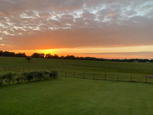a view of a grassy field with trees