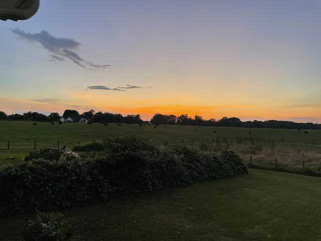 a view of outdoor space and yard