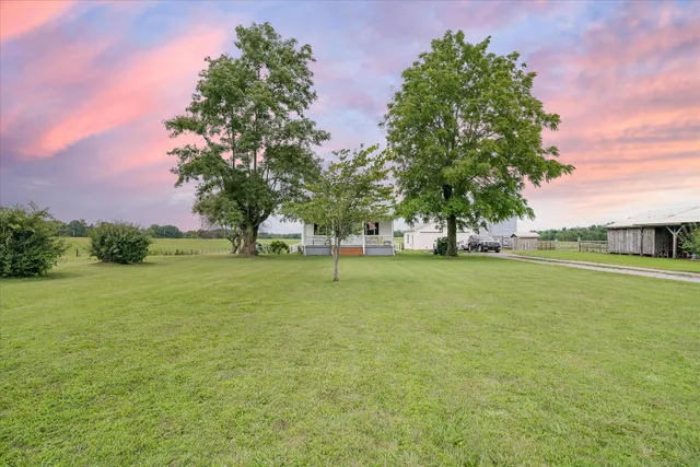 a view of a park with large trees