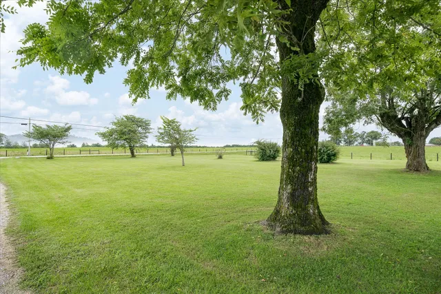 a view of outdoor space with green field and trees