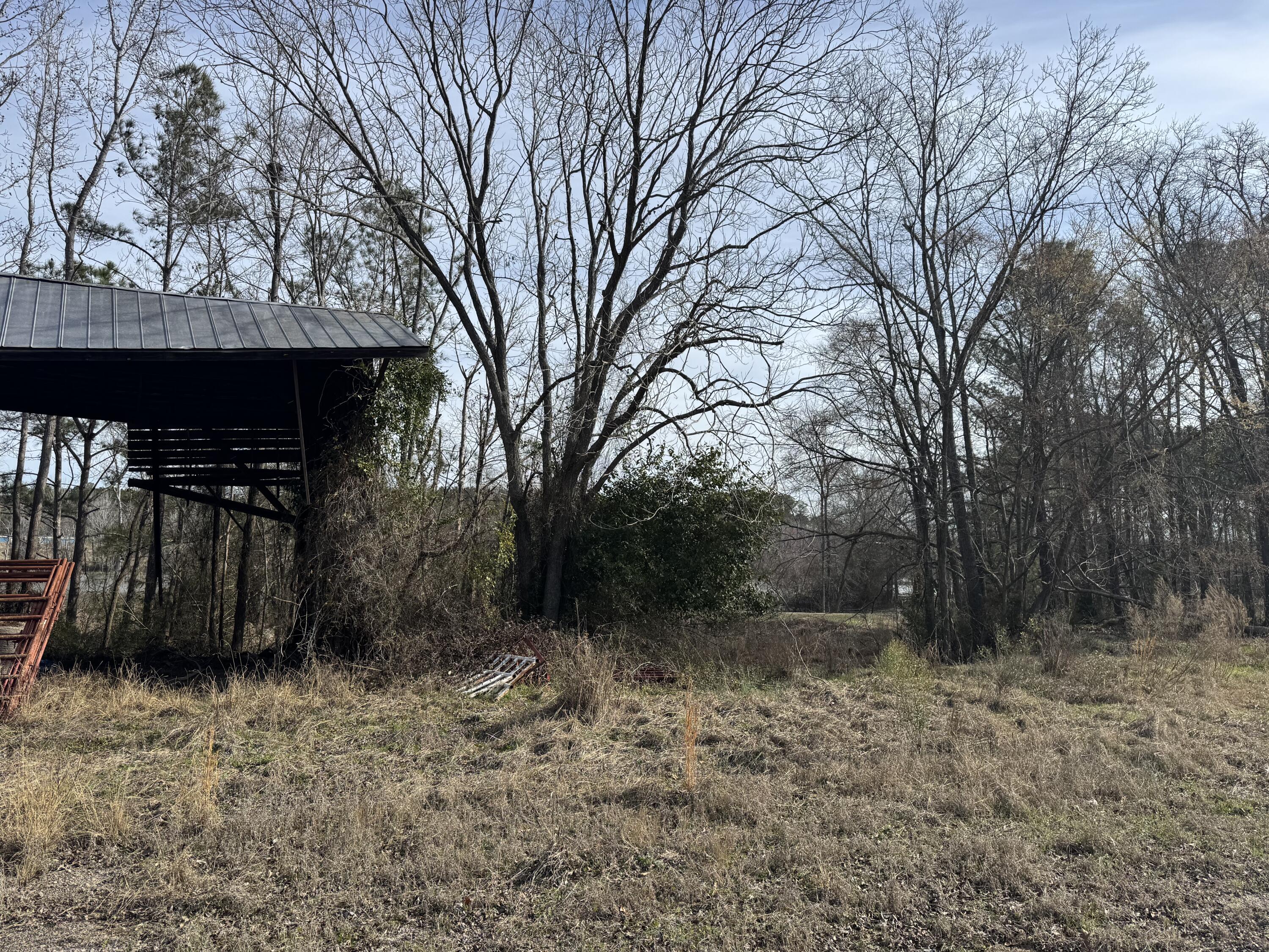 1 Planer Road Edgefield, SC 29824 - Photo 4 of 13