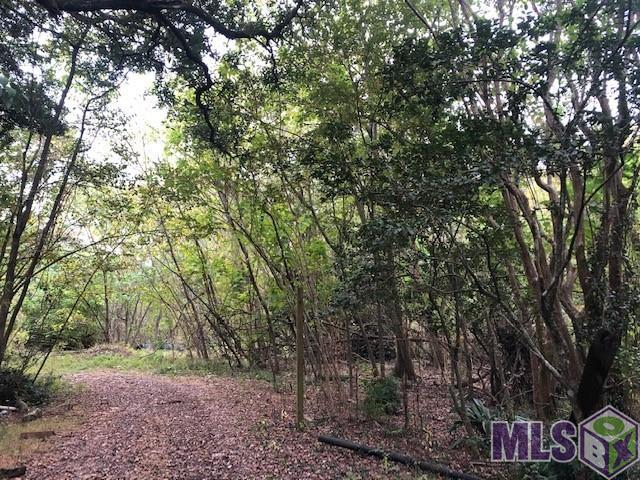 17590 Florida Boulevard Baton Rouge, LA 70816 - Photo 14 of 18