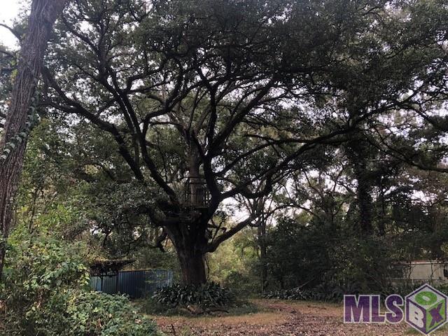 17590 Florida Boulevard Baton Rouge, LA 70816 - Photo 17 of 18