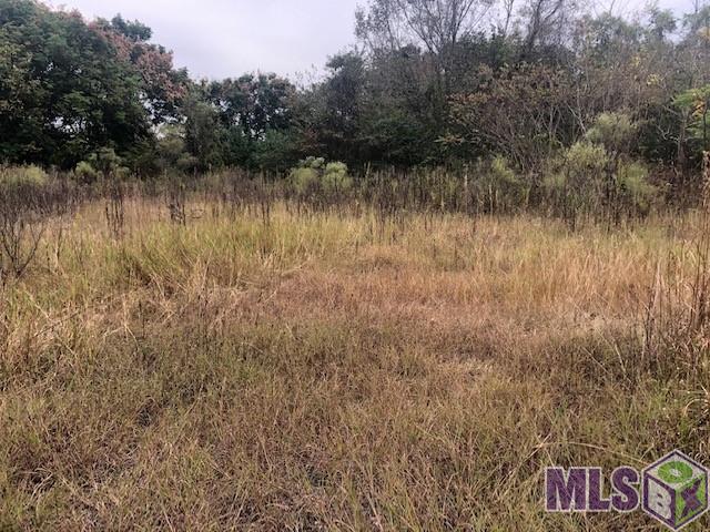 17590 Florida Boulevard Baton Rouge, LA 70816 - Photo 18 of 18