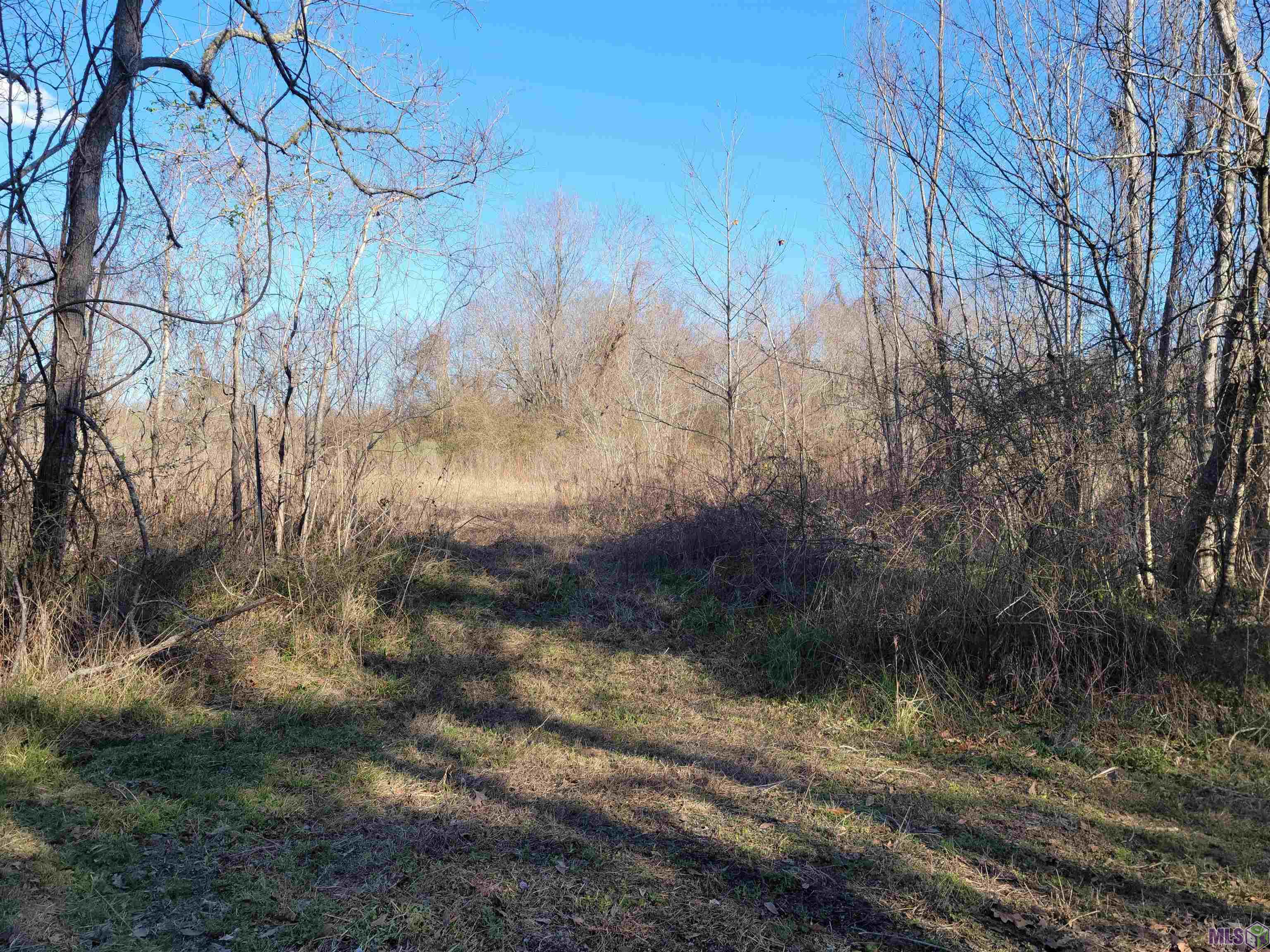 17590 Florida Boulevard Baton Rouge, LA 70816 - Photo 6 of 18