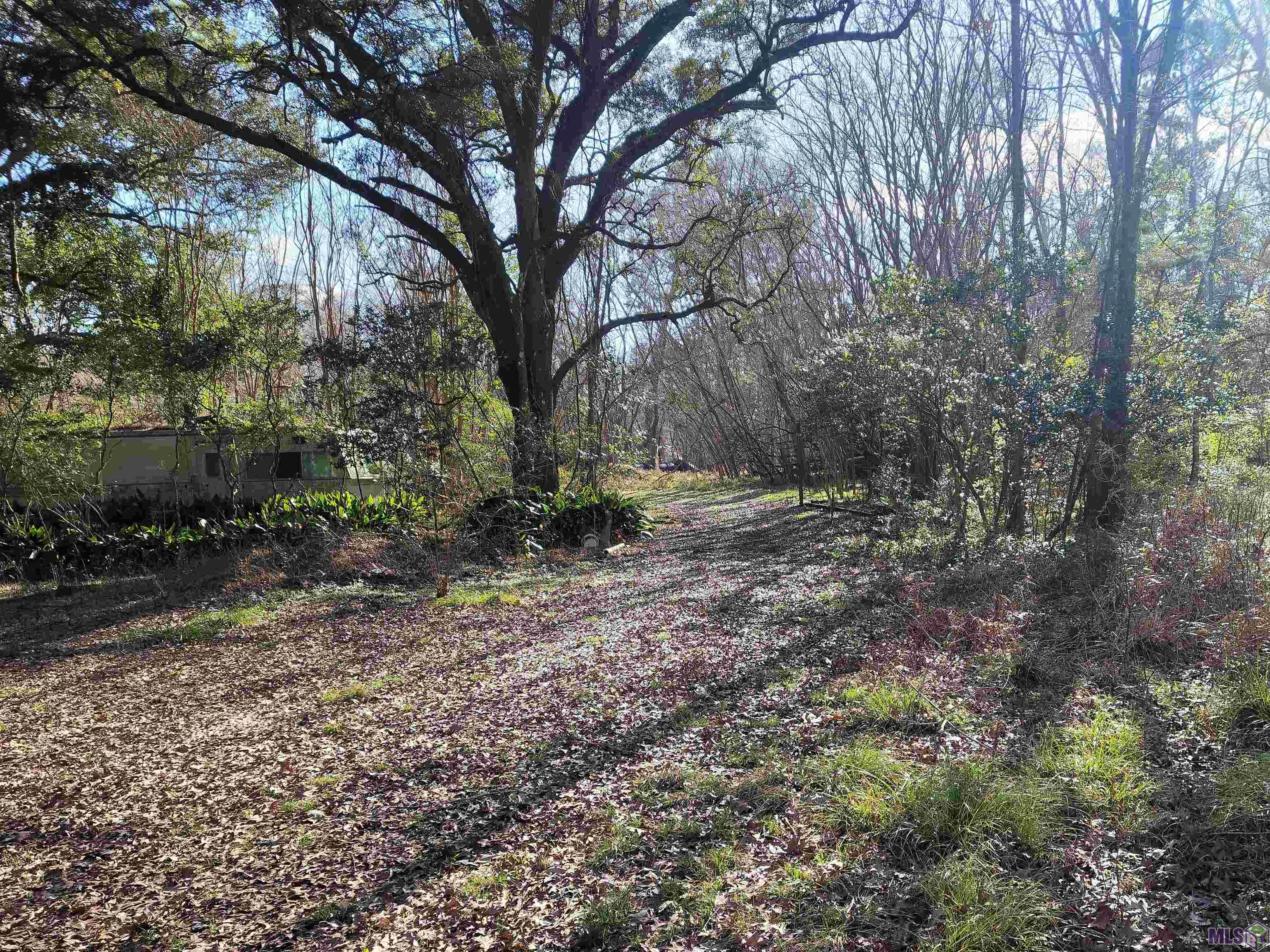 17590 Florida Boulevard Baton Rouge, LA 70816 - Photo 10 of 18