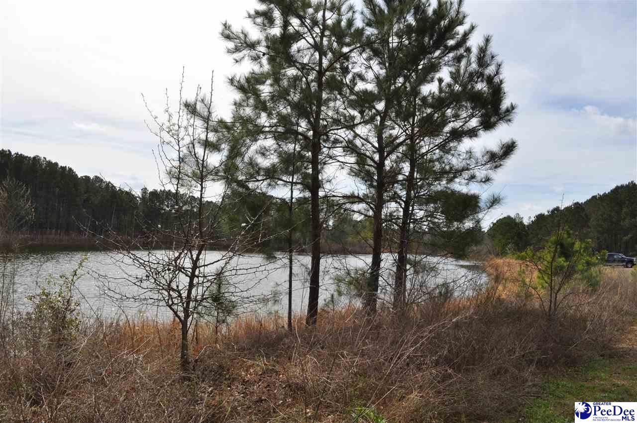 Tbd Crater Road Marion, SC 29571 - Photo 15 of 33 Gallery Image 15