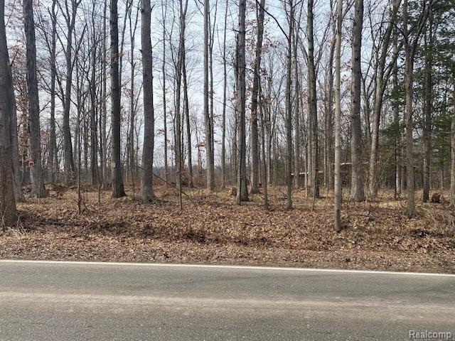 0 Marshall Road Montrose, MI 48457 - Photo 1 of 9