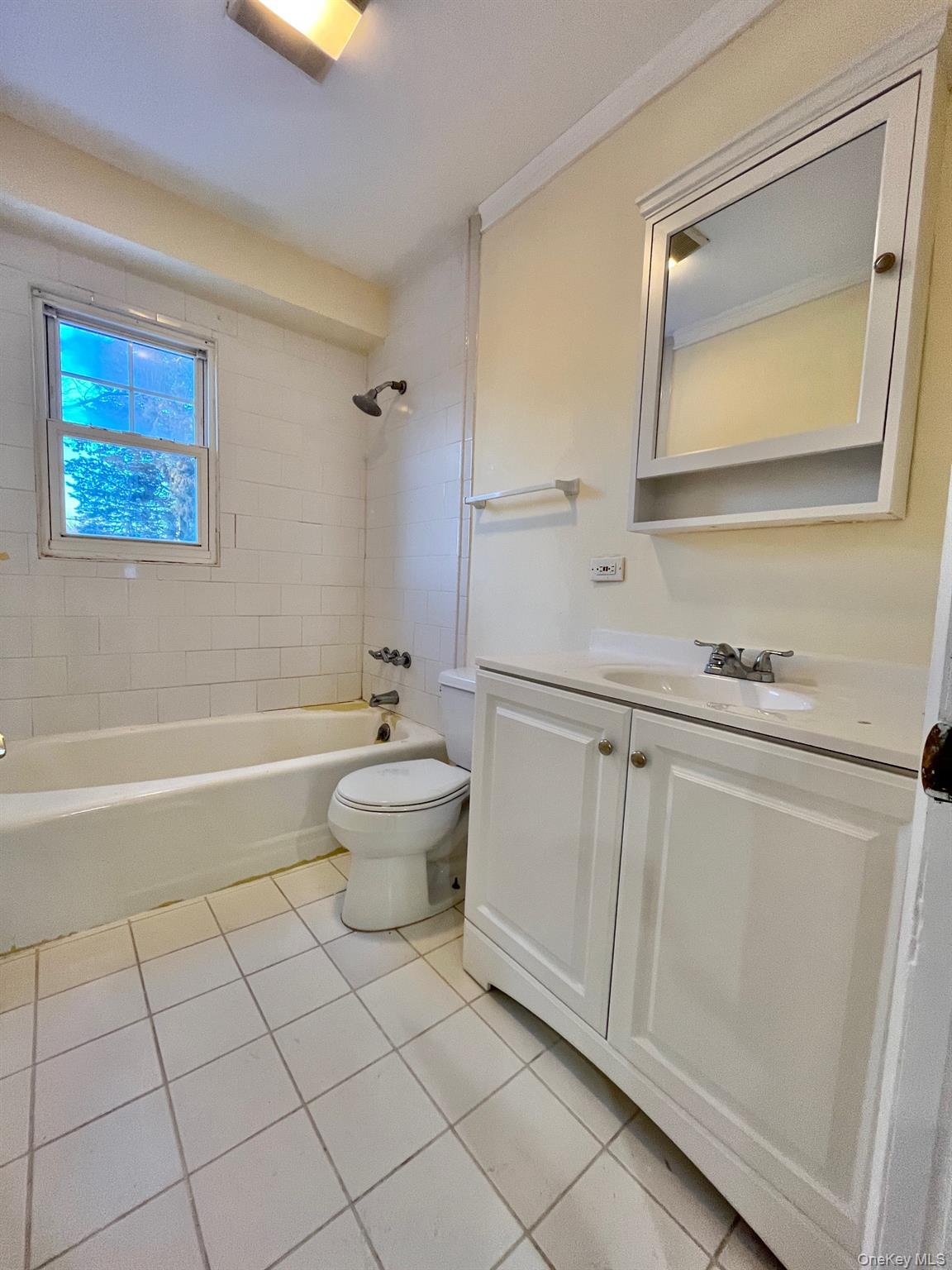 51 Emmett Terrace, Unit 1 New Rochelle, NY 10805 - Photo 11 of 23 a bathroom with a sink a toilet and mirror