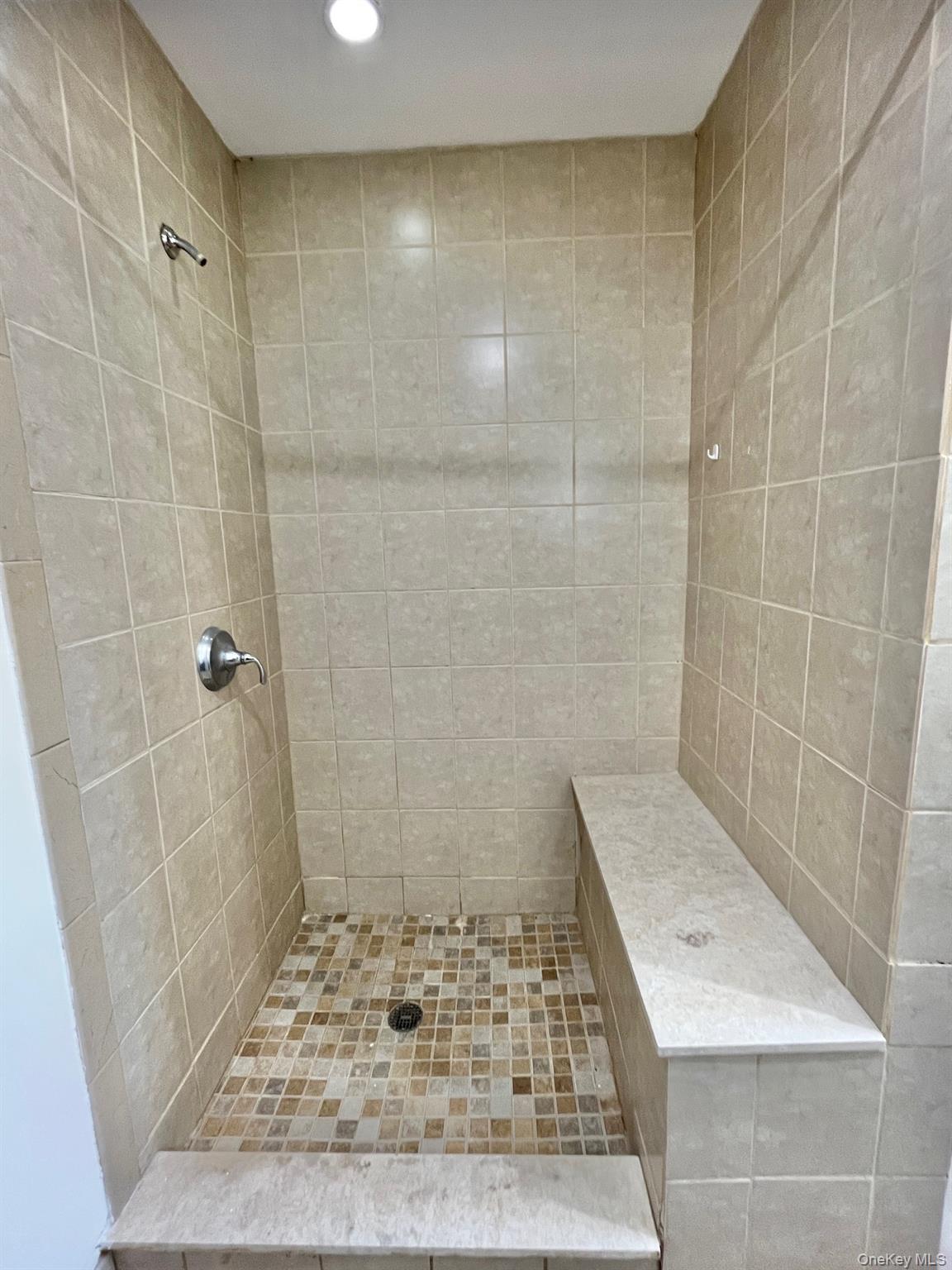 51 Emmett Terrace, Unit 1 New Rochelle, NY 10805 - Photo 23 of 23 a bathroom with a shower