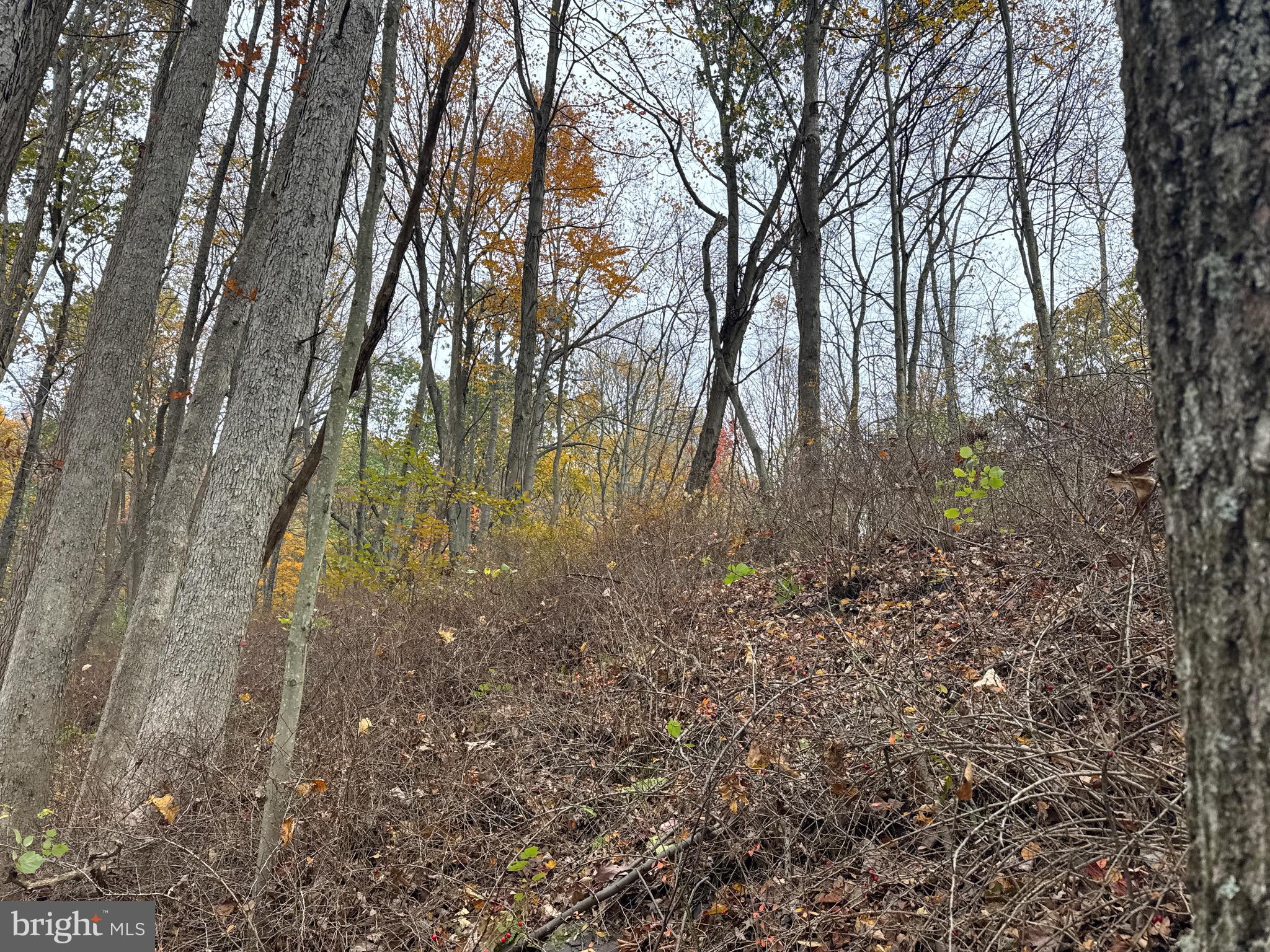 4 13.5 /- Acres Coles Valley Road Robertsdale, PA 16674 - Photo 6 of 9