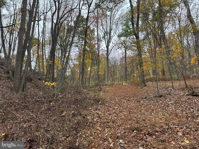 $69,000 | 4 13.5 /- Acres Coles Valley Road, Robertsdale, PA 16674