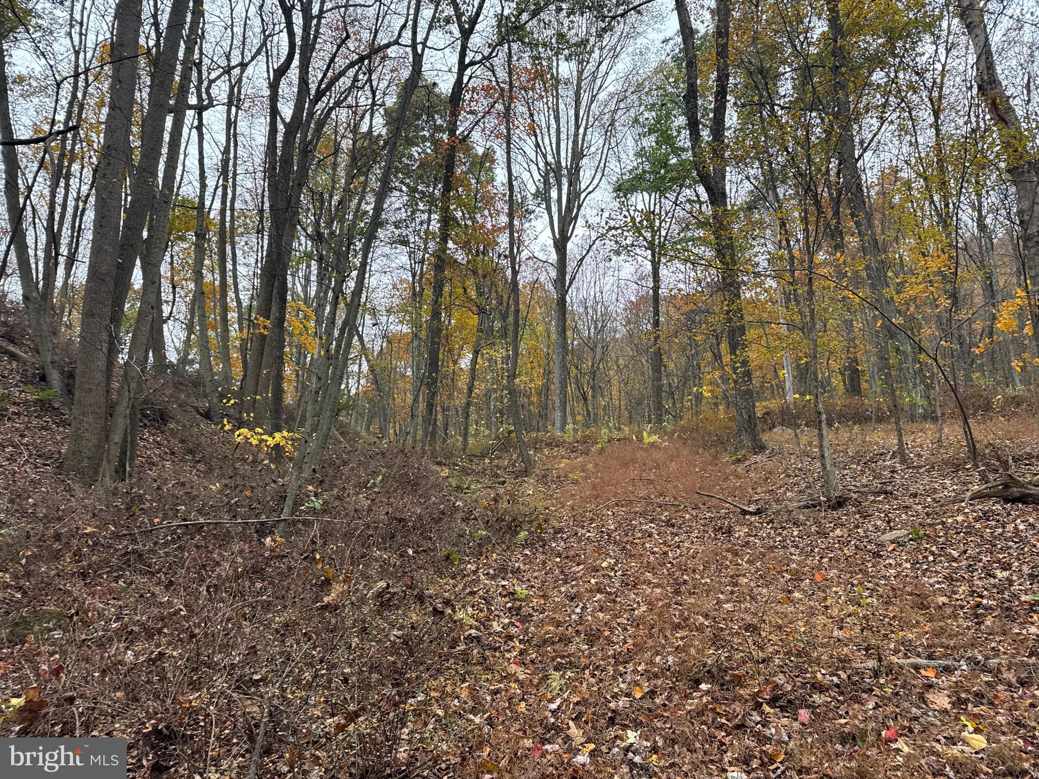 4 13.5 /- Acres Coles Valley Road Robertsdale, PA 16674 - Photo 7 of 9