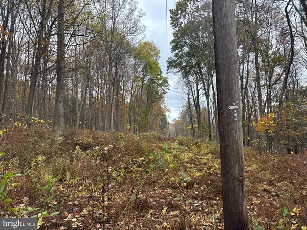 $61,200 | 4 13.5 /- Acres Coles Valley Road, Robertsdale, PA 16674