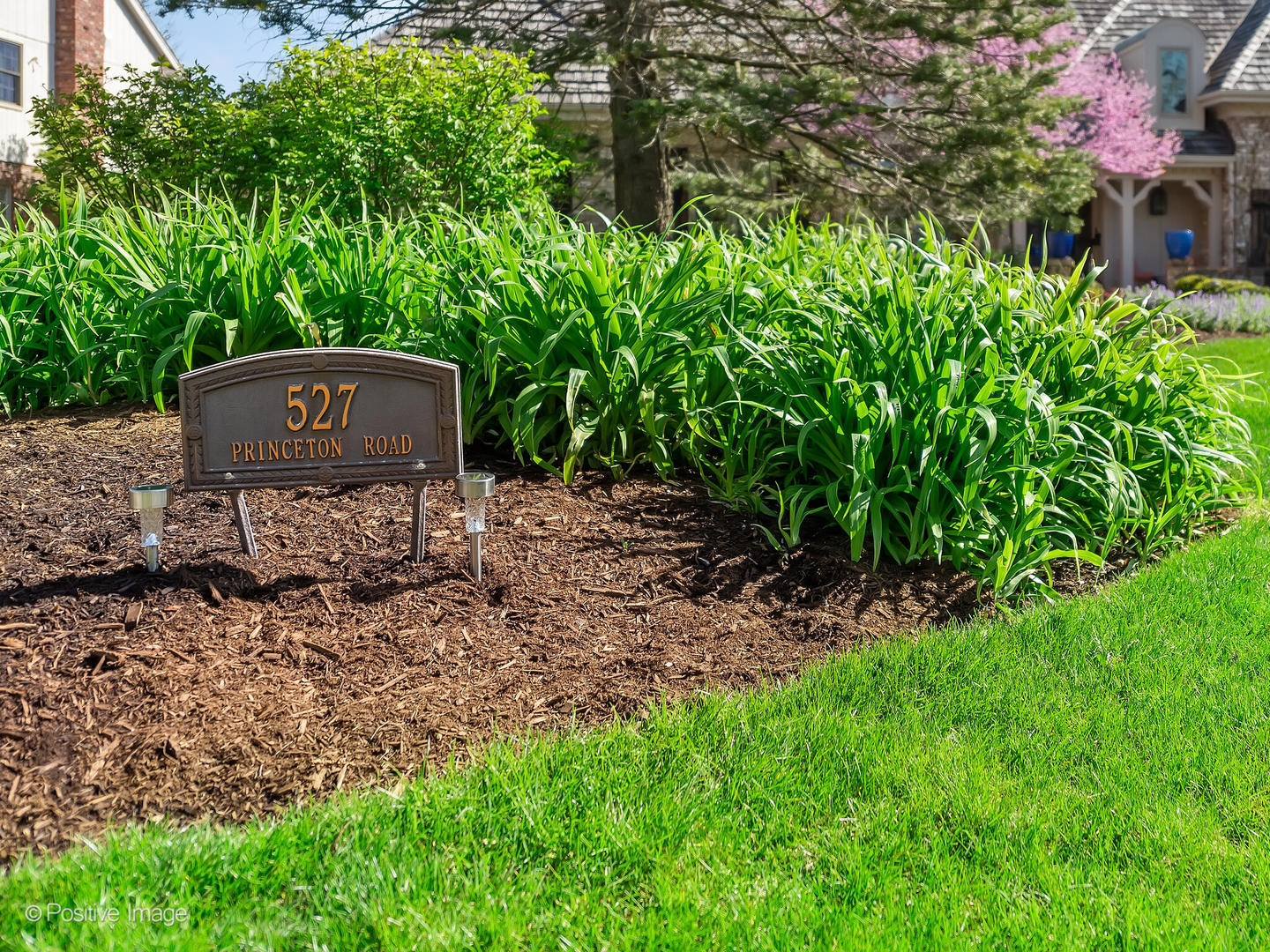 527 Princeton Road Hinsdale, IL 60521 - Photo 4 of 50