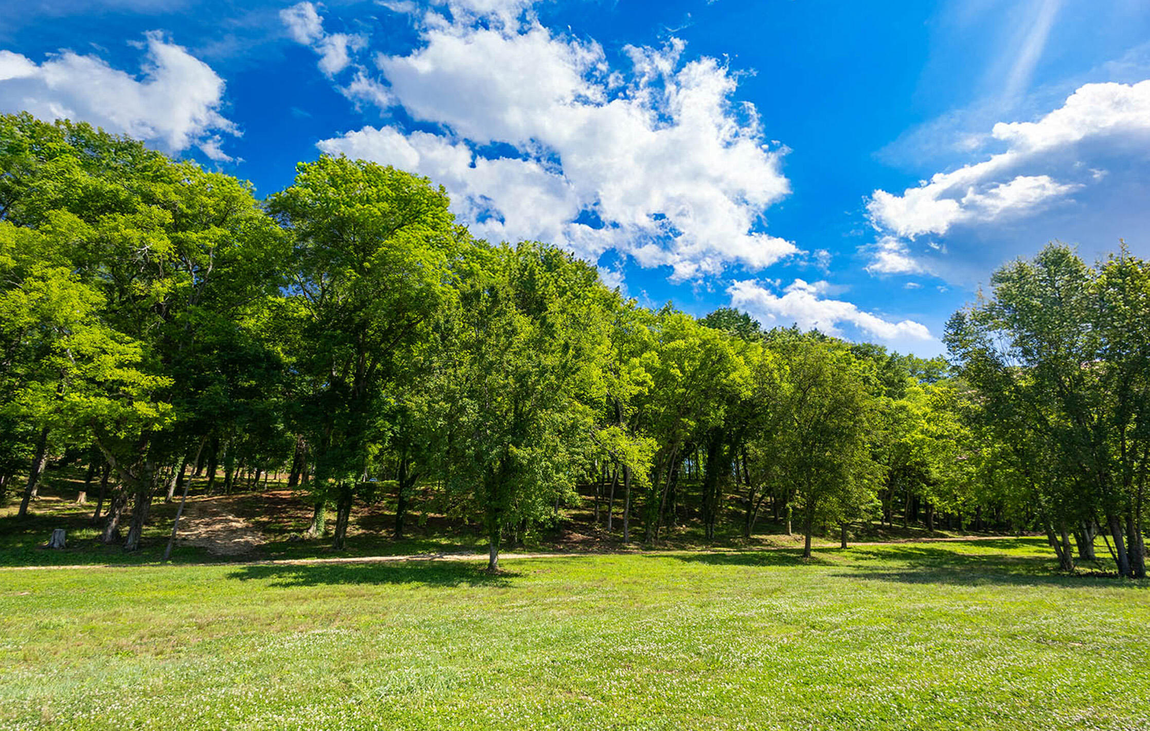1182 Riverbank Ridge Lupton City, TN 37351 - Photo 3 of 12 Wooded Land