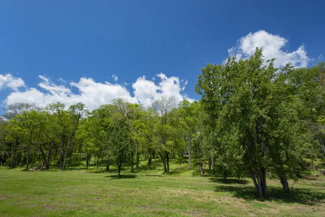 $2,500,000 | 1182 Riverbank Ridge, Lupton City, TN 37351